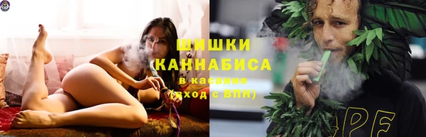 шишки Аркадак