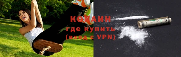 шишки Аркадак