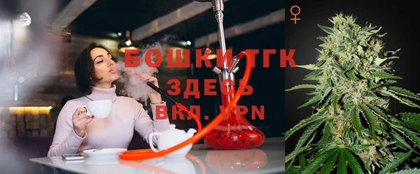 стафф Армянск
