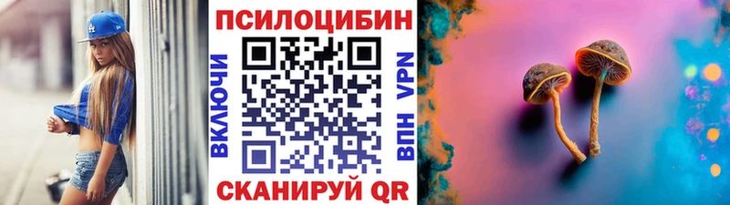 где купить   Инза  Галлюциногенные грибы Psilocybine cubensis 