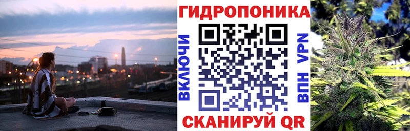 мориарти Telegram Инза Марихуана Ganja наркота